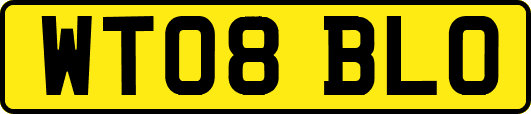 WT08BLO