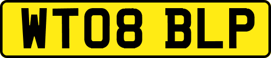 WT08BLP