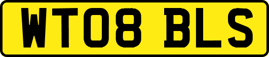 WT08BLS