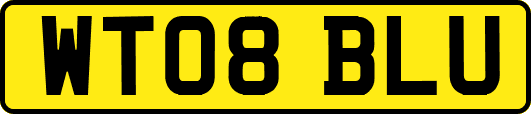 WT08BLU