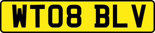 WT08BLV
