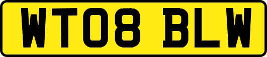 WT08BLW