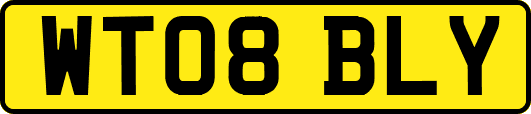 WT08BLY