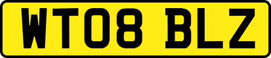 WT08BLZ