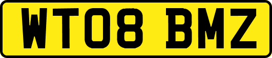 WT08BMZ