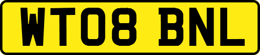 WT08BNL