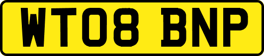 WT08BNP