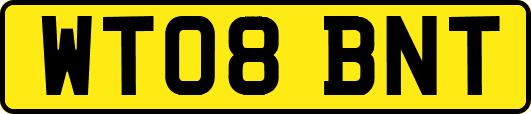WT08BNT