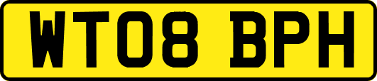 WT08BPH