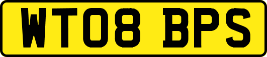 WT08BPS