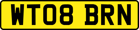 WT08BRN