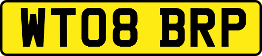 WT08BRP