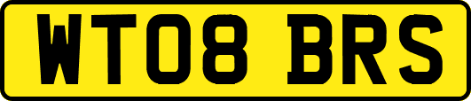 WT08BRS