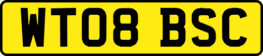 WT08BSC