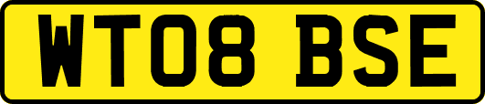 WT08BSE
