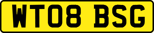 WT08BSG
