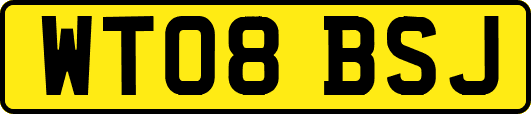 WT08BSJ