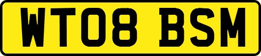 WT08BSM