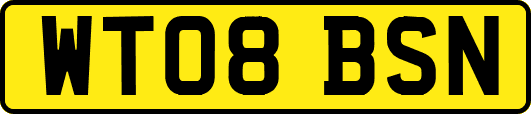 WT08BSN