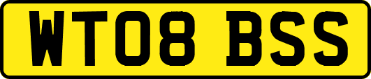 WT08BSS