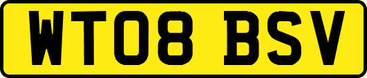 WT08BSV