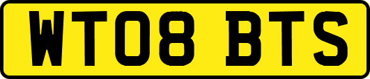 WT08BTS