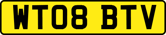 WT08BTV