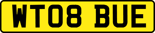 WT08BUE