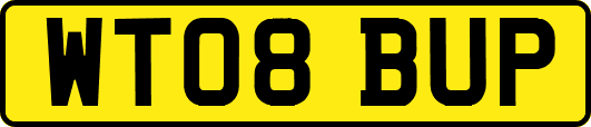 WT08BUP