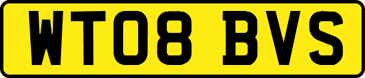 WT08BVS