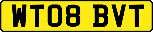 WT08BVT