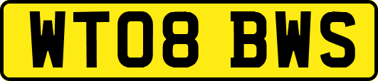 WT08BWS