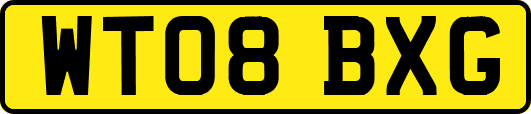 WT08BXG