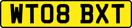 WT08BXT