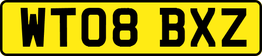WT08BXZ