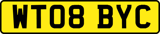 WT08BYC