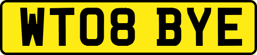 WT08BYE