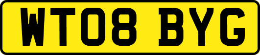 WT08BYG