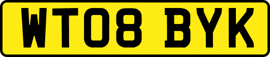 WT08BYK