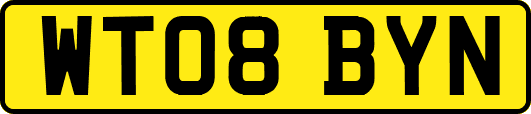 WT08BYN