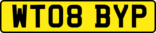 WT08BYP