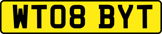 WT08BYT