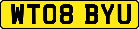 WT08BYU