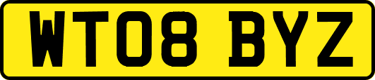 WT08BYZ