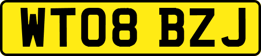 WT08BZJ