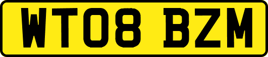 WT08BZM