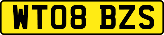 WT08BZS