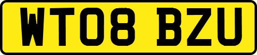 WT08BZU