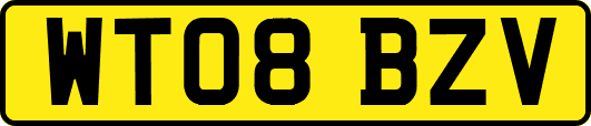 WT08BZV