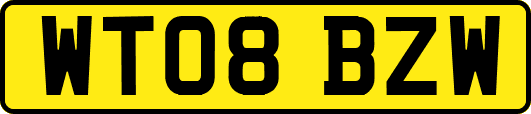 WT08BZW